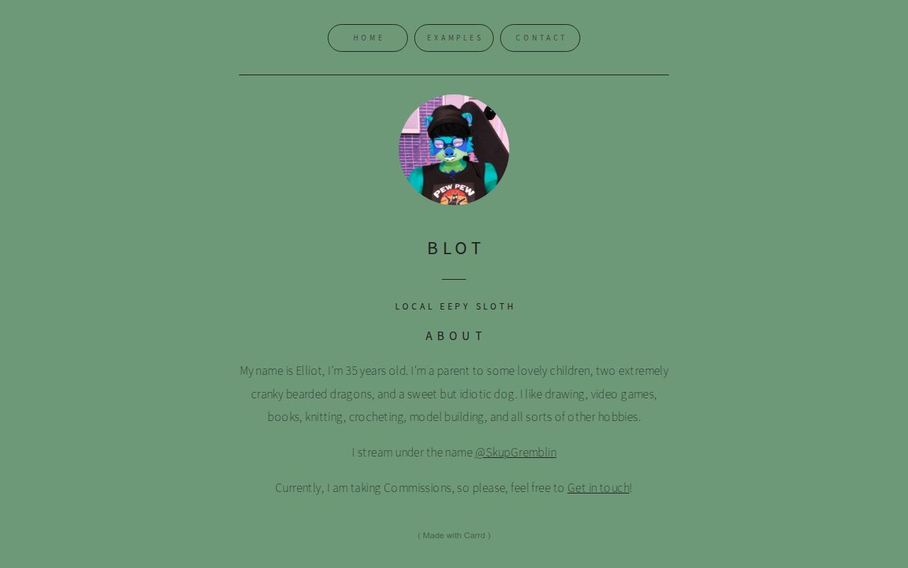 Carrd profile picture for @blot